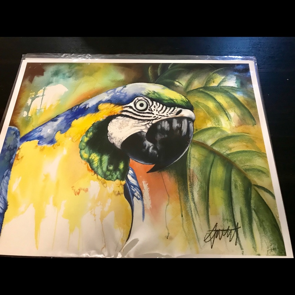 Parrot print by Artist Anthony Burks Sr